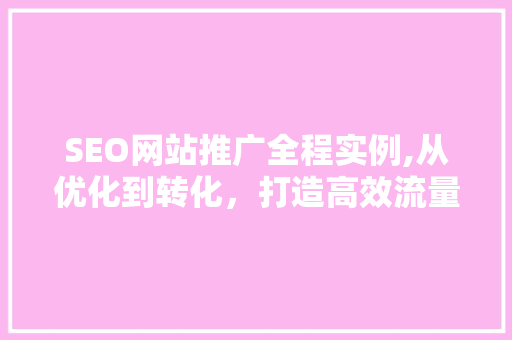 SEO网站推广全程实例,从优化到转化，打造高效流量转化链
