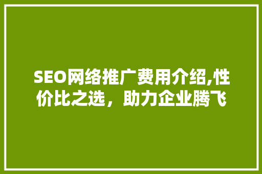SEO网络推广费用介绍,性价比之选，助力企业腾飞