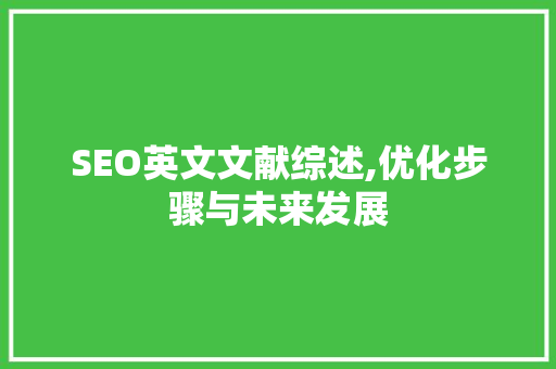 SEO英文文献综述,优化步骤与未来发展
