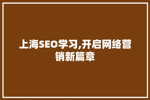 上海SEO学习,开启网络营销新篇章