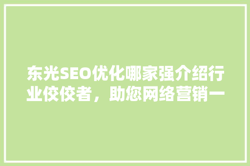 东光SEO优化哪家强介绍行业佼佼者，助您网络营销一臂之力