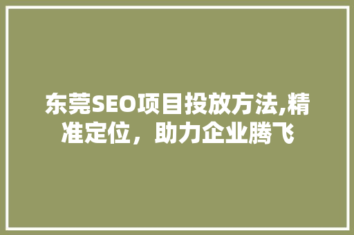 东莞SEO项目投放方法,精准定位，助力企业腾飞