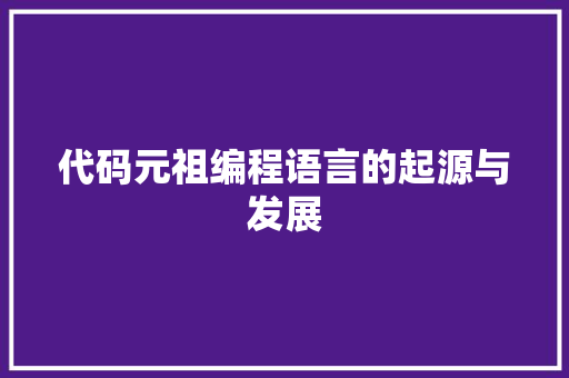 代码元祖编程语言的起源与发展
