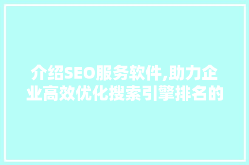 介绍SEO服务软件,助力企业高效优化搜索引擎排名的秘密武器
