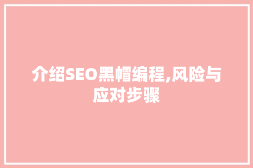 介绍SEO黑帽编程,风险与应对步骤