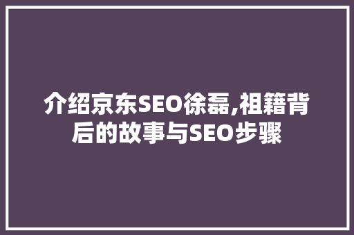 介绍京东SEO徐磊,祖籍背后的故事与SEO步骤  第1张