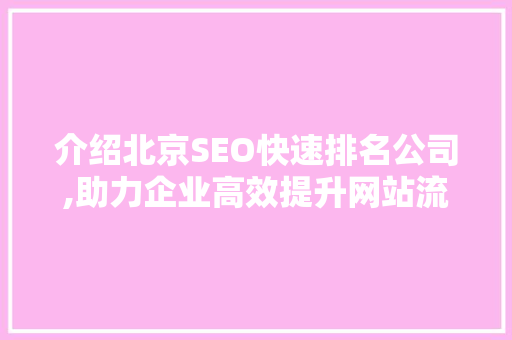 介绍北京SEO快速排名公司,助力企业高效提升网站流量与品牌知名度