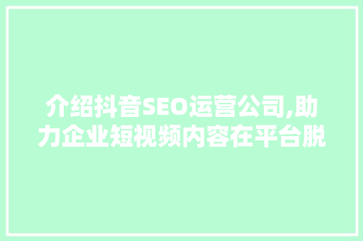 介绍抖音SEO运营公司,助力企业短视频内容在平台脱颖而出