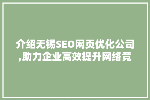 介绍无锡SEO网页优化公司,助力企业高效提升网络竞争力  第1张