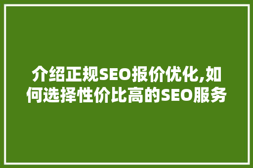 介绍正规SEO报价优化,如何选择性价比高的SEO服务