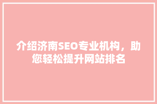 介绍济南SEO专业机构，助您轻松提升网站排名