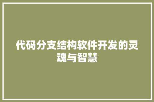 代码分支结构软件开发的灵魂与智慧