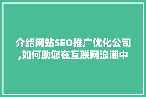 介绍网站SEO推广优化公司,如何助您在互联网浪潮中脱颖而出