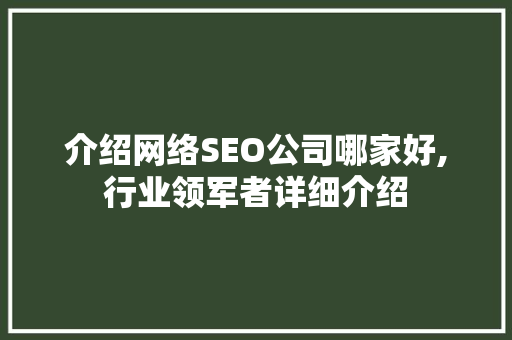 介绍网络SEO公司哪家好,行业领军者详细介绍