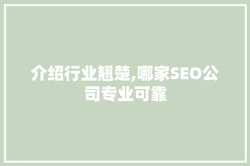 介绍行业翘楚,哪家SEO公司专业可靠
