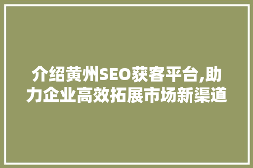 介绍黄州SEO获客平台,助力企业高效拓展市场新渠道