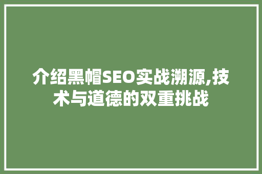 介绍黑帽SEO实战溯源,技术与道德的双重挑战