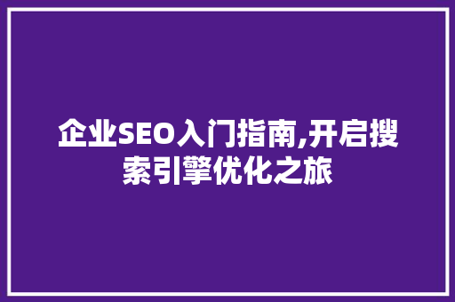 企业SEO入门指南,开启搜索引擎优化之旅