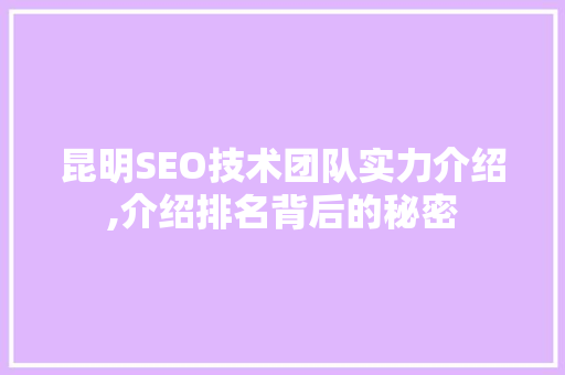 昆明SEO技术团队实力介绍,介绍排名背后的秘密