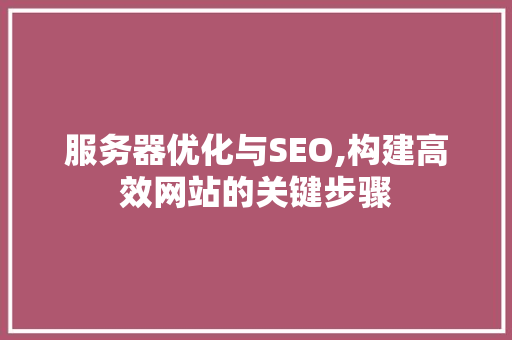 服务器优化与SEO,构建高效网站的关键步骤