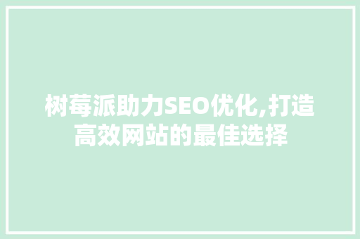 树莓派助力SEO优化,打造高效网站的最佳选择
