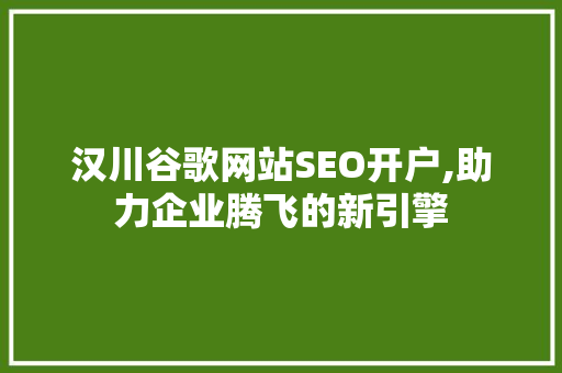 汉川谷歌网站SEO开户,助力企业腾飞的新引擎
