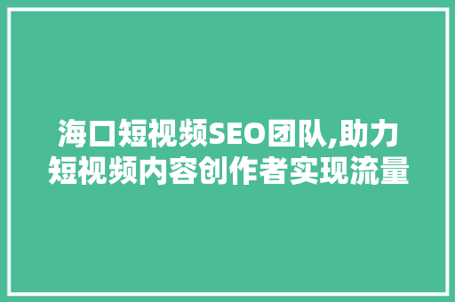 海口短视频SEO团队,助力短视频内容创作者实现流量变现的方法