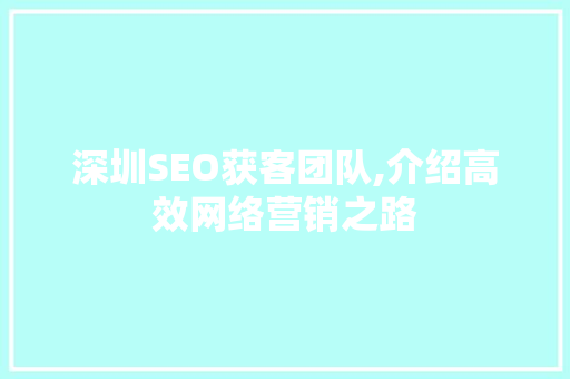 深圳SEO获客团队,介绍高效网络营销之路  第1张