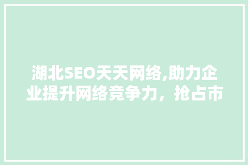 湖北SEO天天网络,助力企业提升网络竞争力，抢占市场先机  第1张