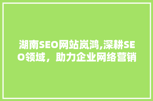 湖南SEO网站岚鸿,深耕SEO领域，助力企业网络营销  第1张