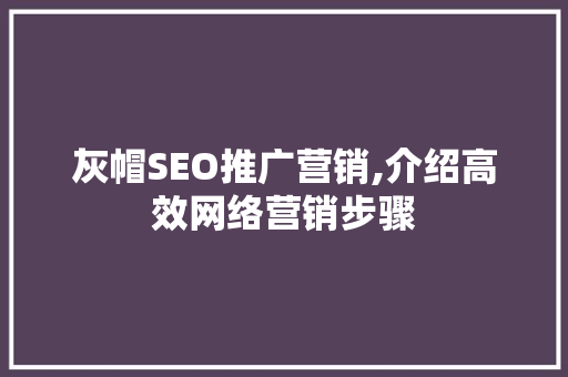 灰帽SEO推广营销,介绍高效网络营销步骤
