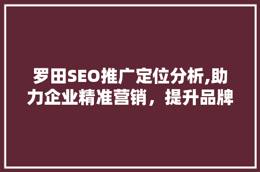 罗田SEO推广定位分析,助力企业精准营销，提升品牌影响力