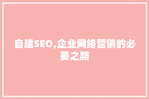 自建SEO,企业网络营销的必要之路