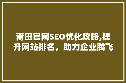 莆田官网SEO优化攻略,提升网站排名，助力企业腾飞