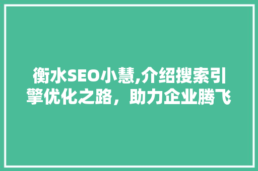 衡水SEO小慧,介绍搜索引擎优化之路，助力企业腾飞