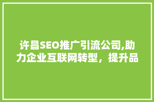 许昌SEO推广引流公司,助力企业互联网转型，提升品牌影响力