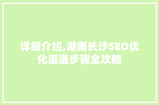 详细介绍,湖南长沙SEO优化渠道步骤全攻略