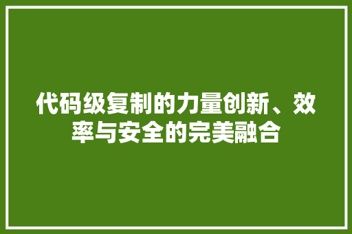 代码级复制的力量创新、效率与安全的完美融合