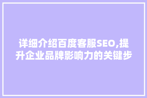 详细介绍百度客服SEO,提升企业品牌影响力的关键步骤  第1张