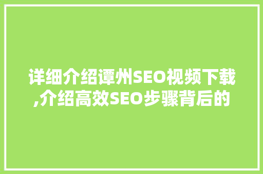 详细介绍谭州SEO视频下载,介绍高效SEO步骤背后的秘密