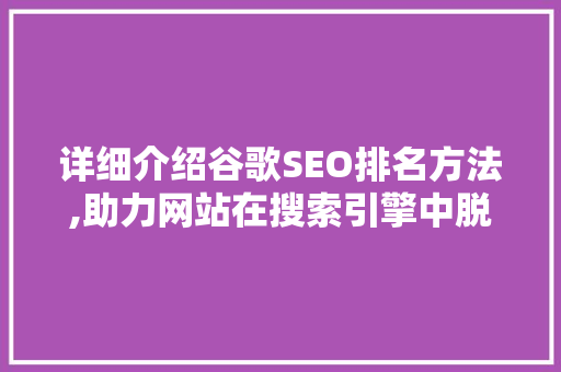 详细介绍谷歌SEO排名方法,助力网站在搜索引擎中脱颖而出