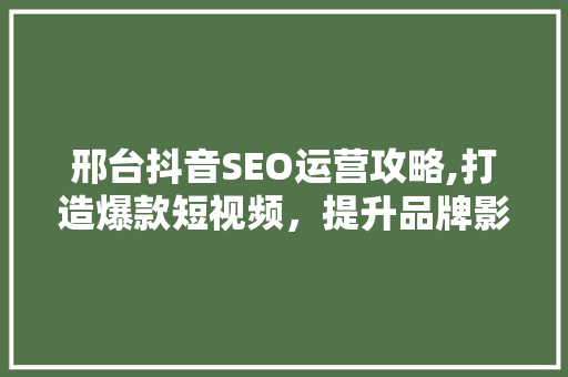 邢台抖音SEO运营攻略,打造爆款短视频，提升品牌影响力