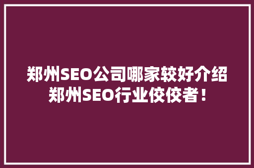 郑州SEO公司哪家较好介绍郑州SEO行业佼佼者！