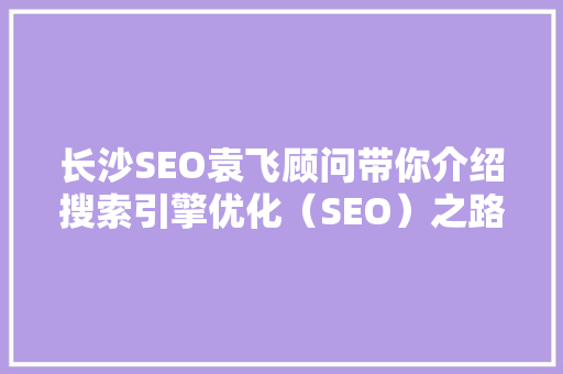 长沙SEO袁飞顾问带你介绍搜索引擎优化（SEO）之路  第1张