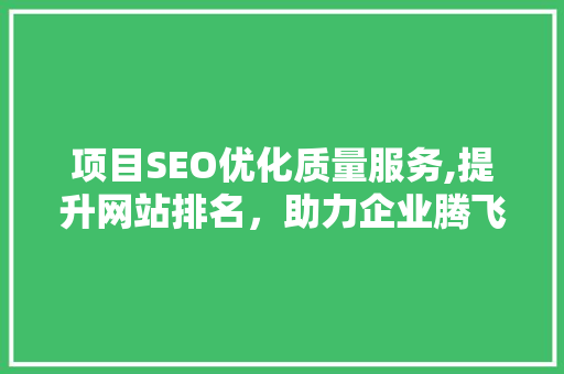 项目SEO优化质量服务,提升网站排名，助力企业腾飞  第1张