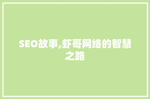 SEO故事,虾哥网络的智慧之路