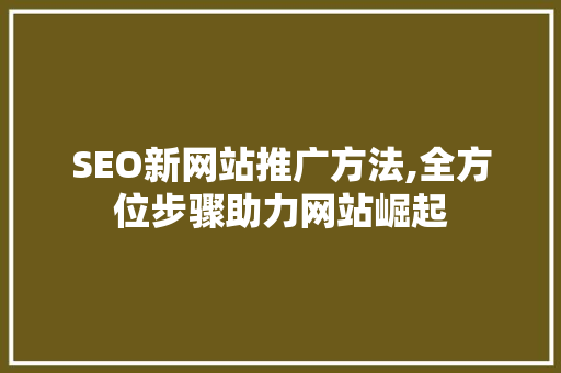 SEO新网站推广方法,全方位步骤助力网站崛起