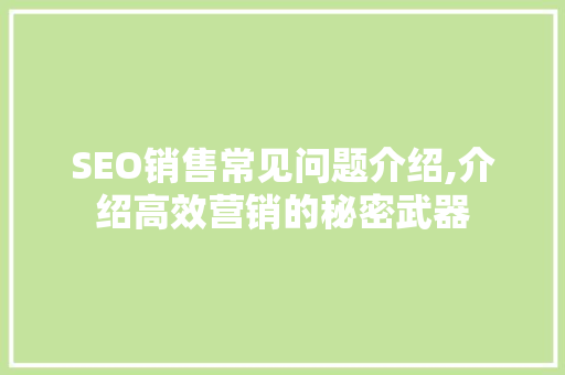 SEO销售常见问题介绍,介绍高效营销的秘密武器