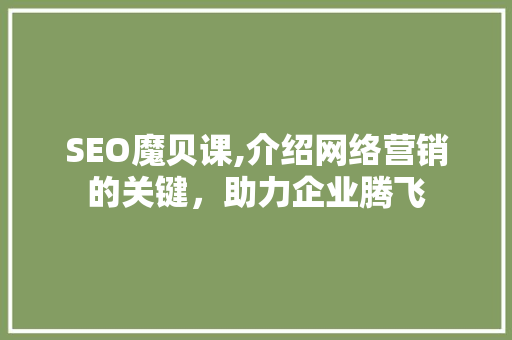 SEO魔贝课,介绍网络营销的关键，助力企业腾飞