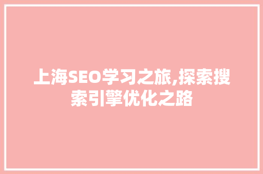 上海SEO学习之旅,探索搜索引擎优化之路